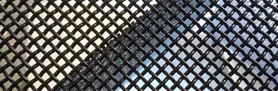 篩分堅(jiān)果類篩網(wǎng)需要注意什么